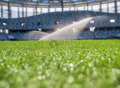 泰山队独家,揭秘,重磅信号显,Yabo,Sports,亚博体育,亚博体育入口,亚博体育官网,亚博体育APP下载