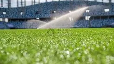 《泰山队独家揭秘：重磅信号显示，瓦科留队大局已定！》