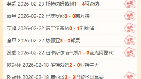 汉诺威96对阵布伦瑞克赛事分析